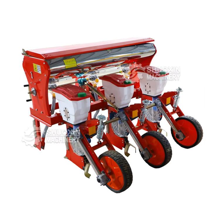Hạt giống hạt